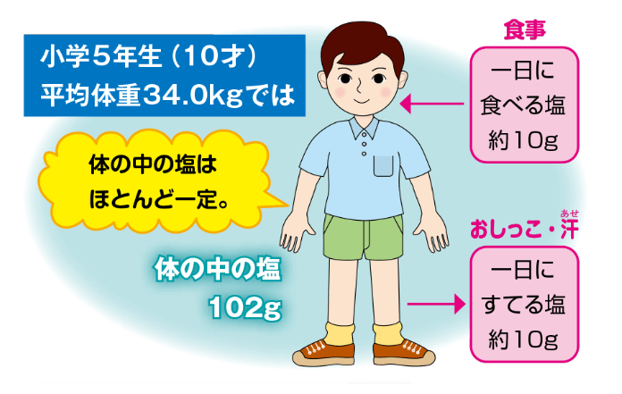 小学５年生の塩分量の図