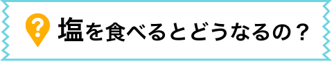 塩を食べるとどうなるの？