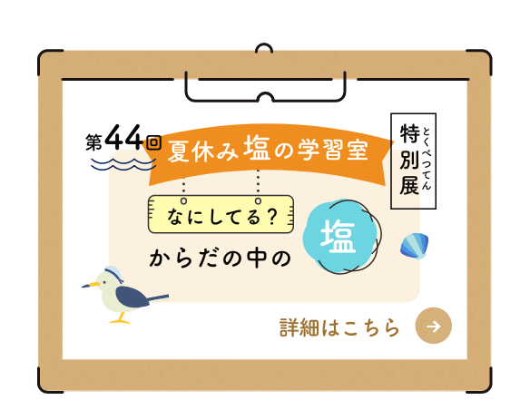 夏休み塩の学習室