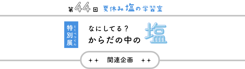 関連企画 夏休み塩の学習室