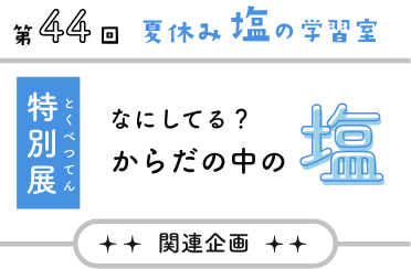 関連企画 夏休み塩の学習室