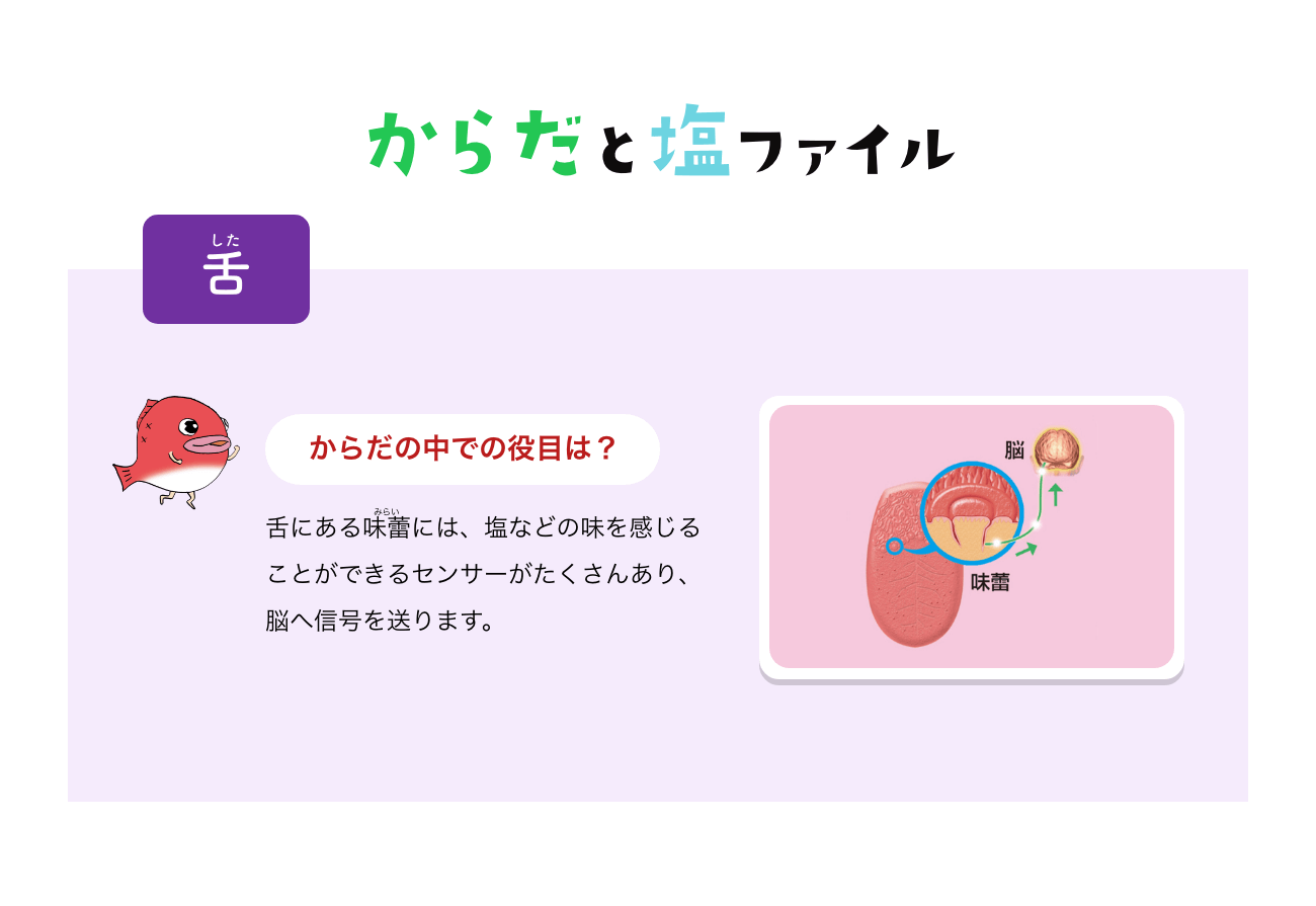 からだと塩ファイル