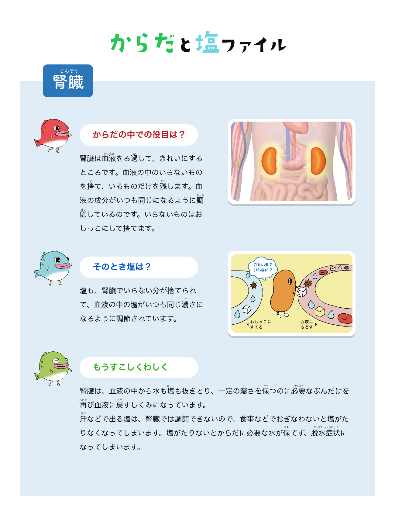 からだと塩ファイル