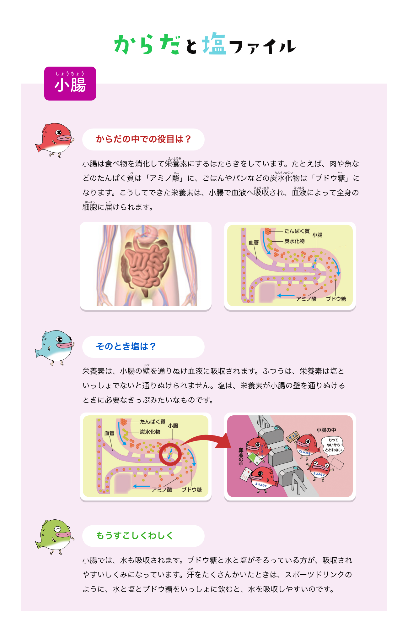 からだと塩ファイル