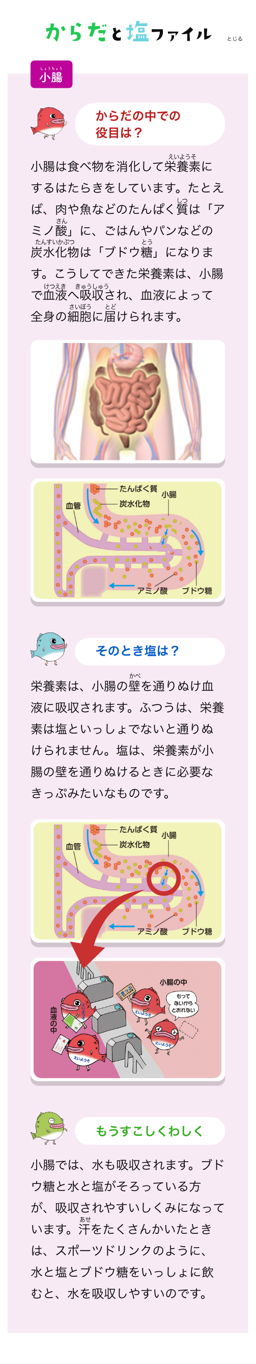 からだと塩ファイル