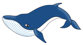 クジラ