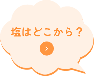 塩はどこまで？