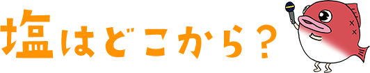 塩はどこから？