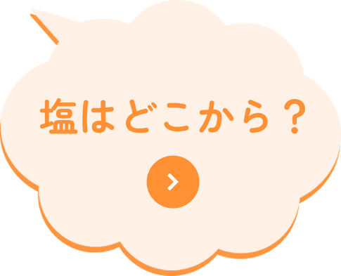 塩はどこまで？