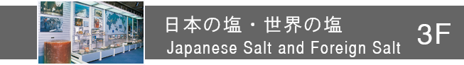 日本の塩・世界の塩 Japanese Salt and Foreign Salt